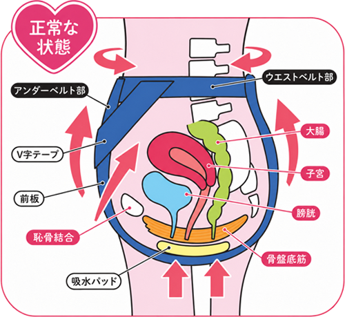 フェミーナの優れた特徴